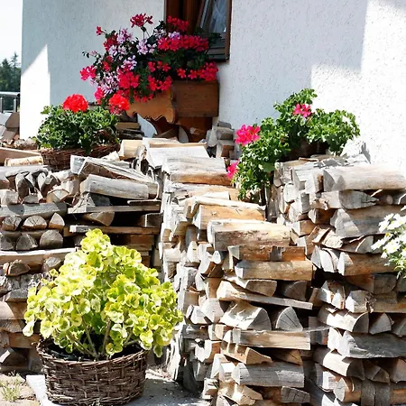 Lejlighed Haus Kandelblick Furtwangen